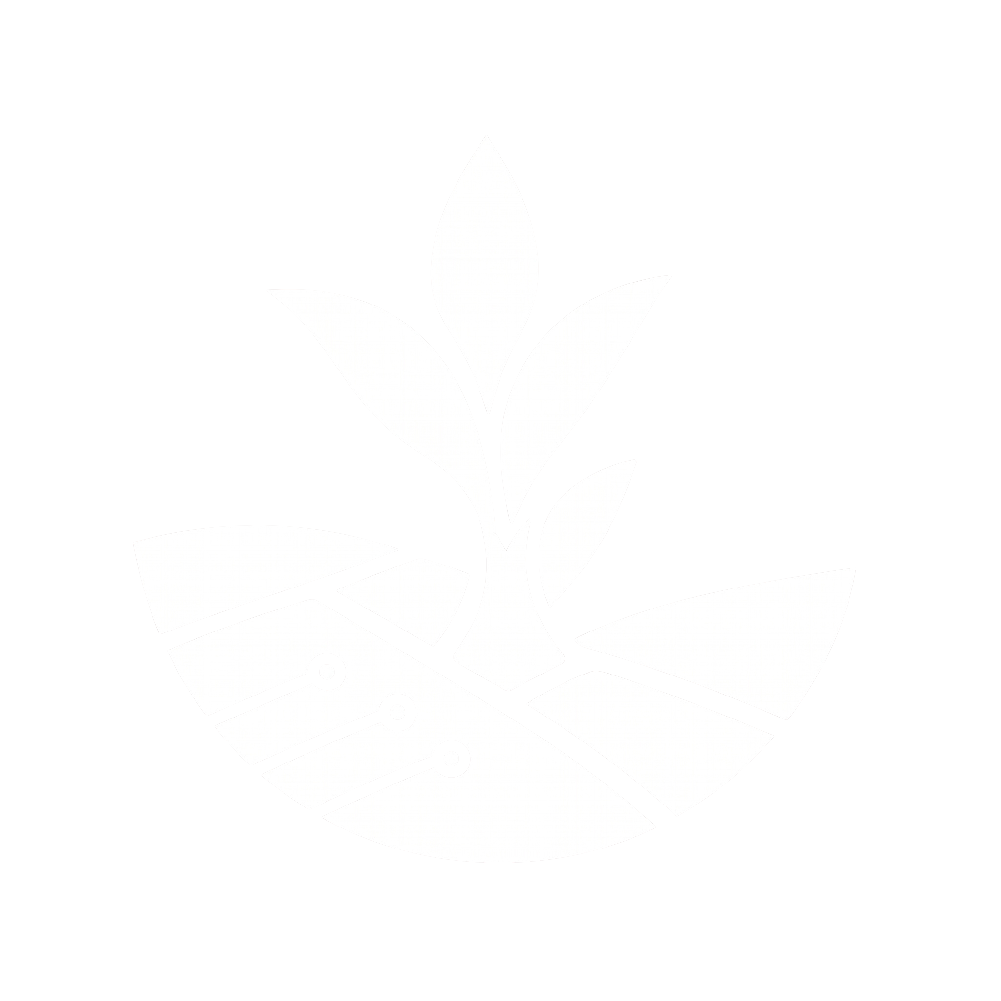 QriyaBitLab